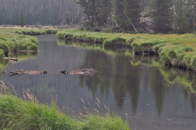 East Inlet Trail